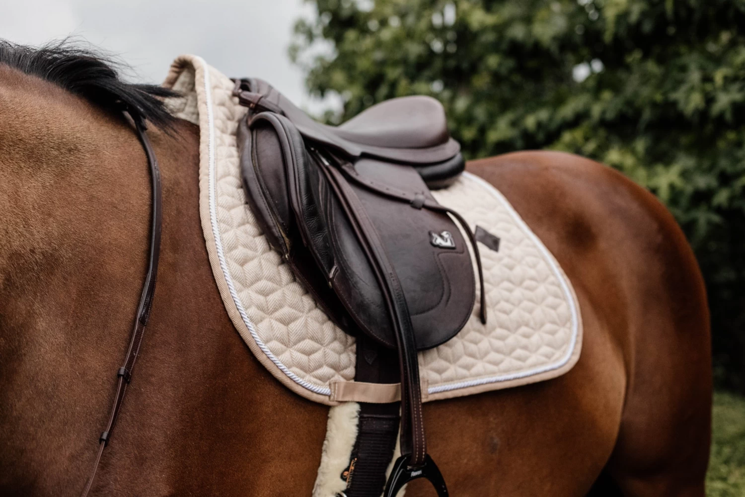 Kentucky Wool Jump Saddle Pad Beige - Image 4