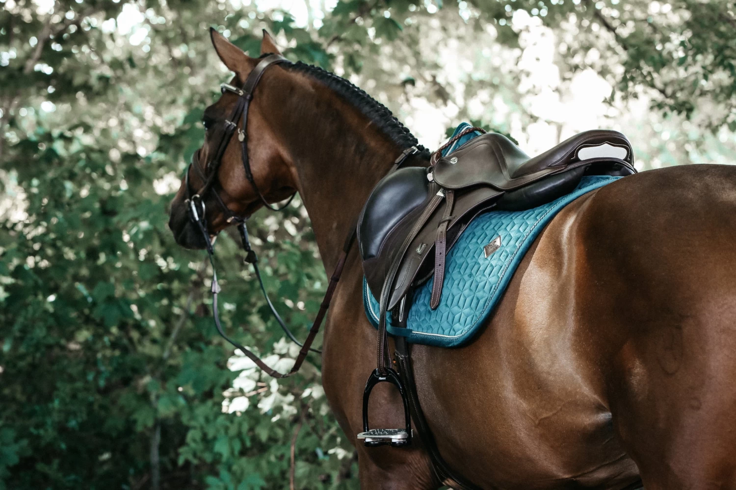 Kentucky Velvet Jump Saddle Pad Emerald - Image 4