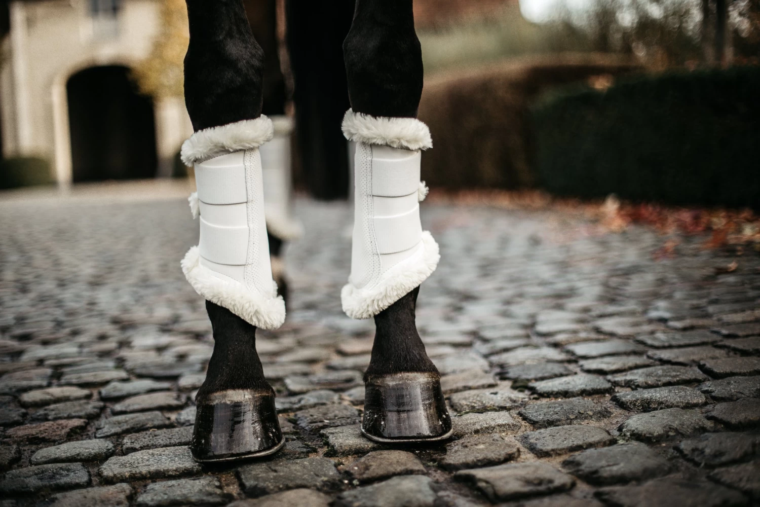 Kentucky Air Brushing Boots White - Image 4