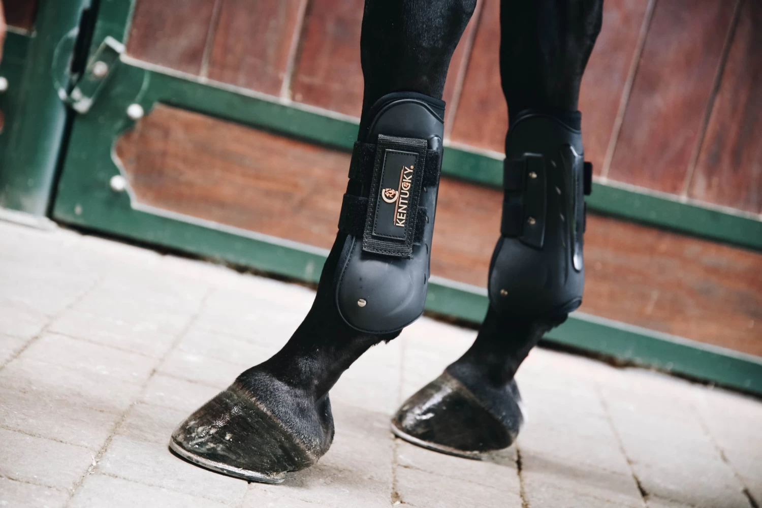 Kentucky Air Tendon Boots Black - Image 2