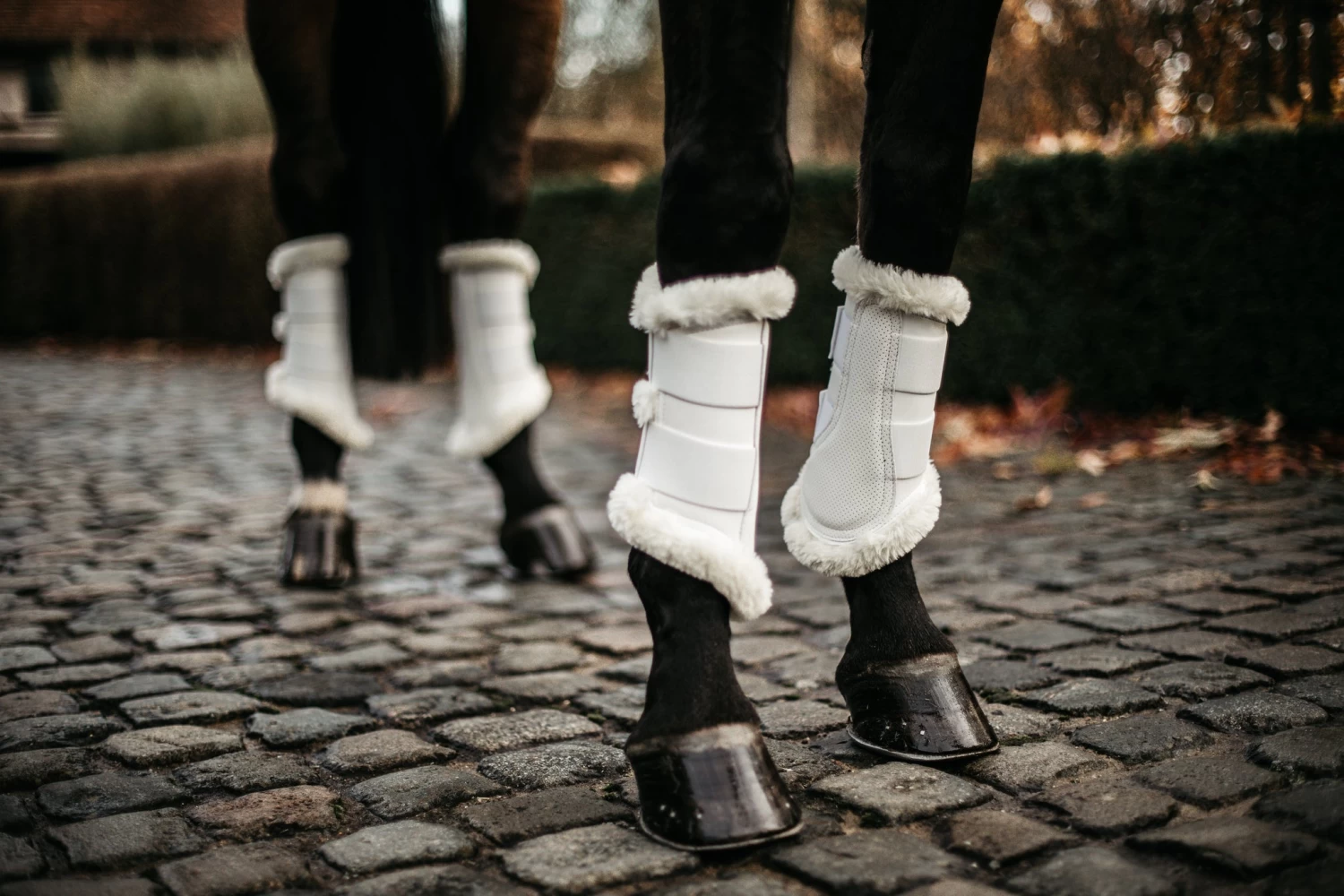 Kentucky Air Brushing Boots White - Image 3