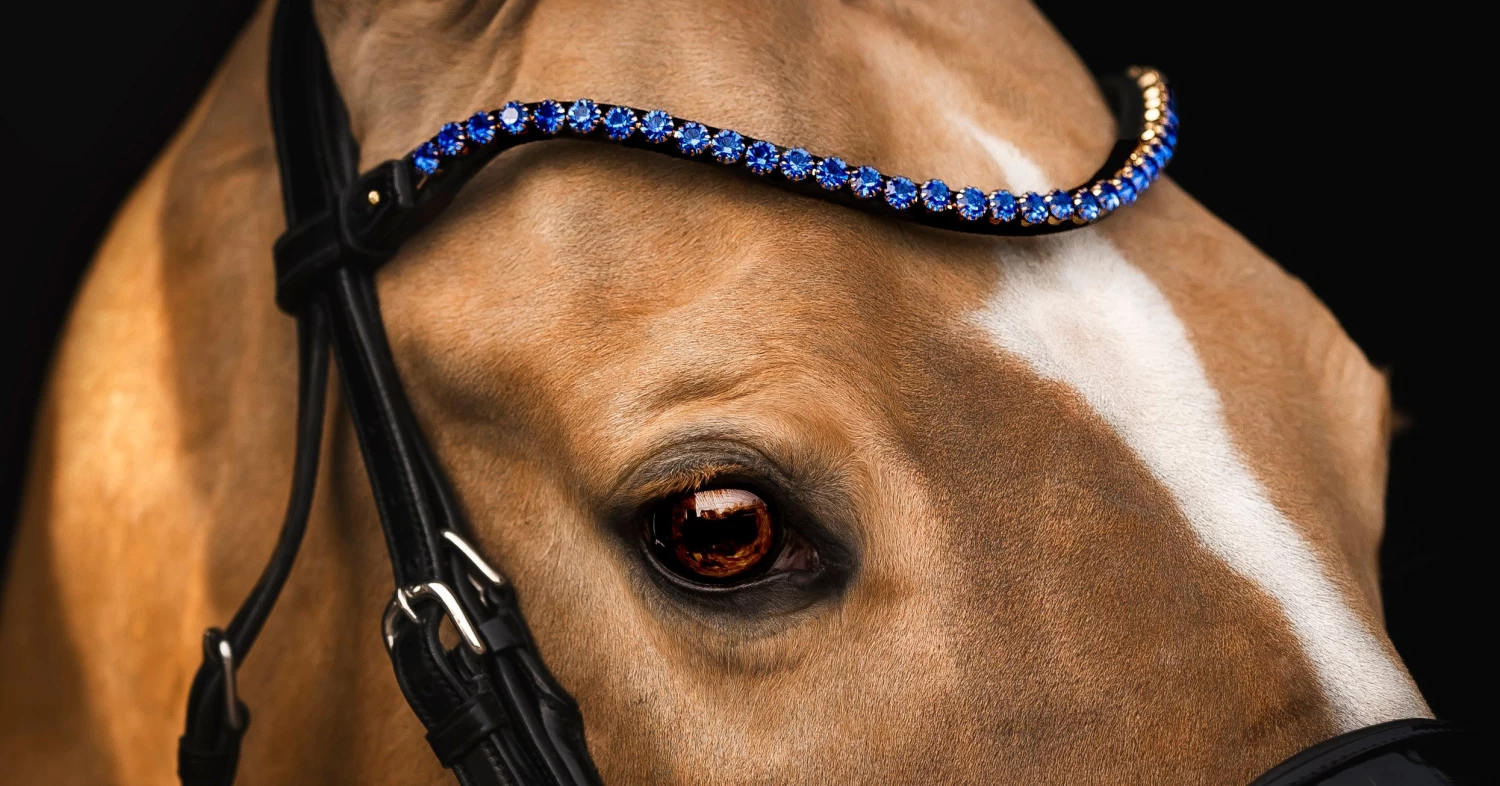 Utzon Equestrian Elegant Browband Sapphire - Image 3