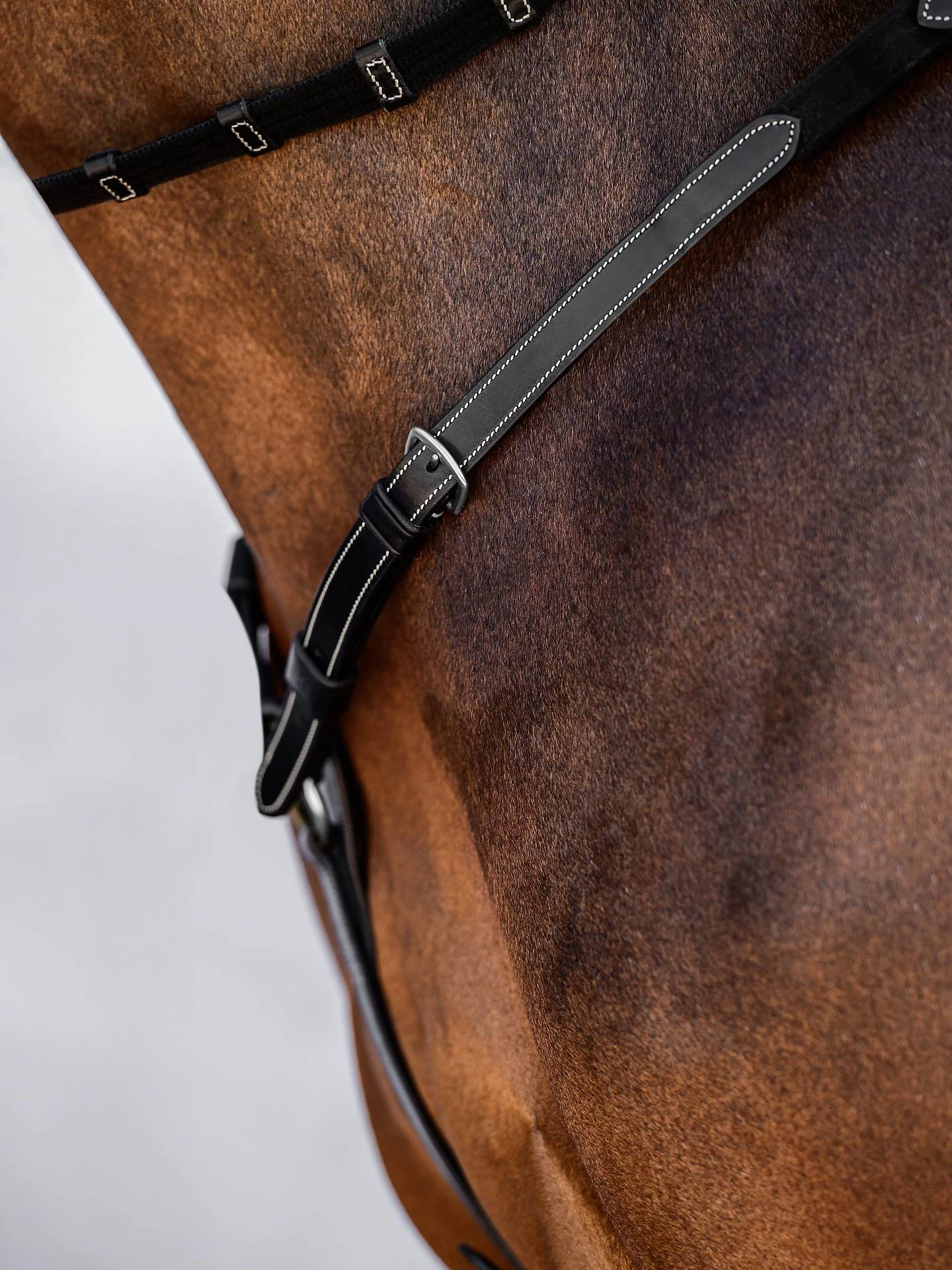 PS Of Sweden Breastplate Melbourne - Image 5