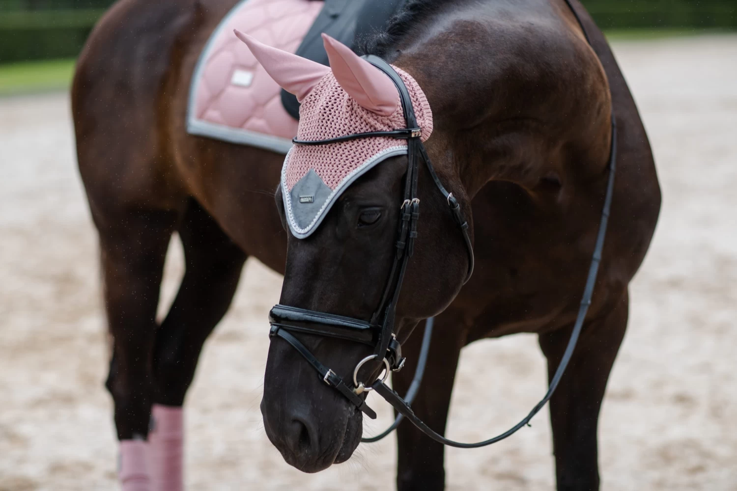 Equestrian Stockholm Ear Bonnet Pink Crystal - Image 2