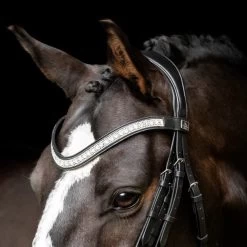 SD Design Azzaro Browband Clear