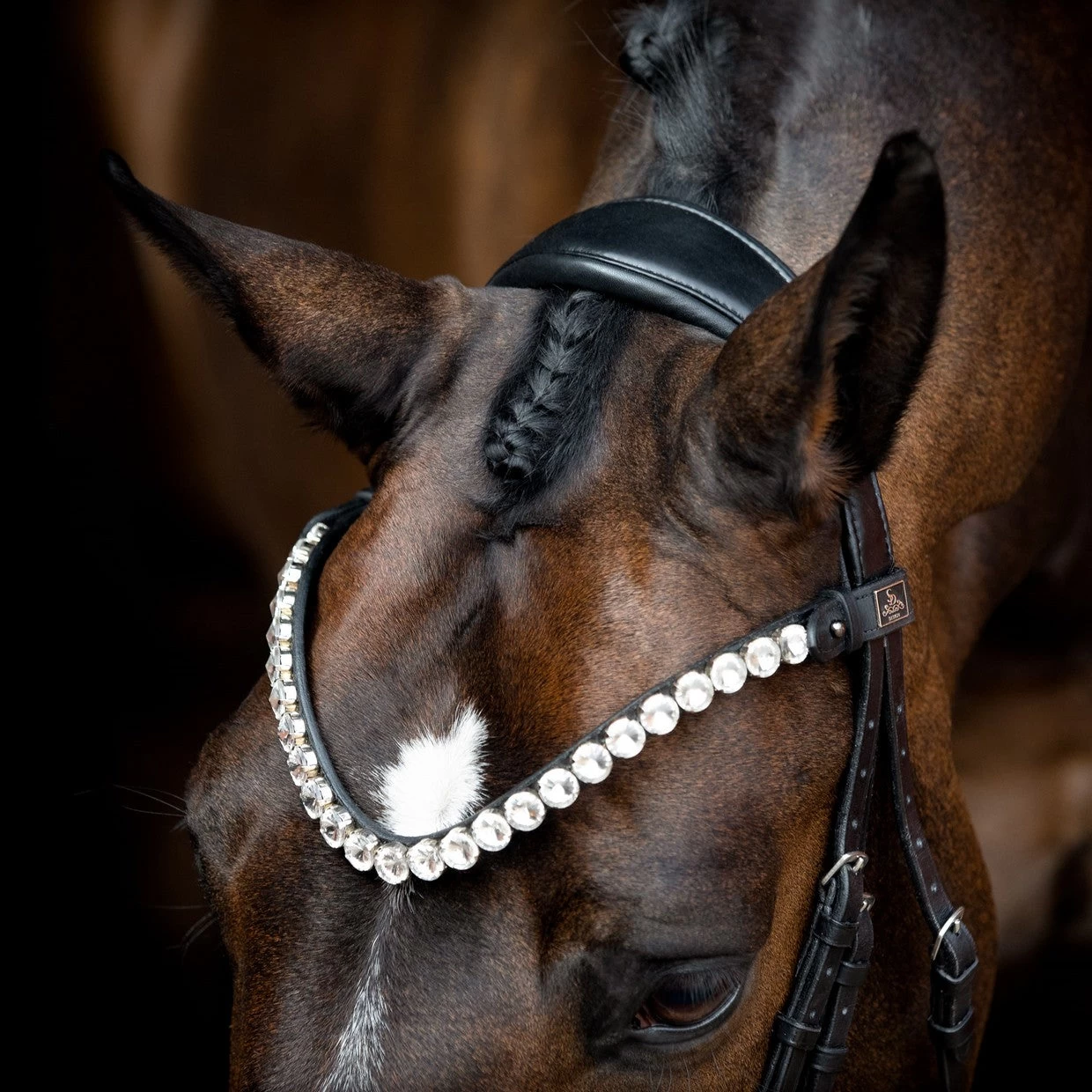 SD Design Valentino Browband Clear - Image 2