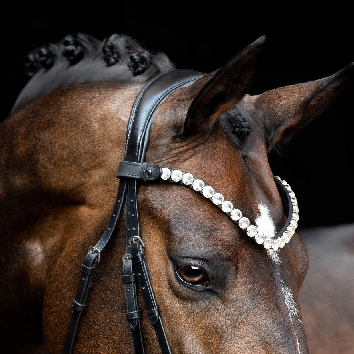 SD Design Valentino Browband Clear - Image 3