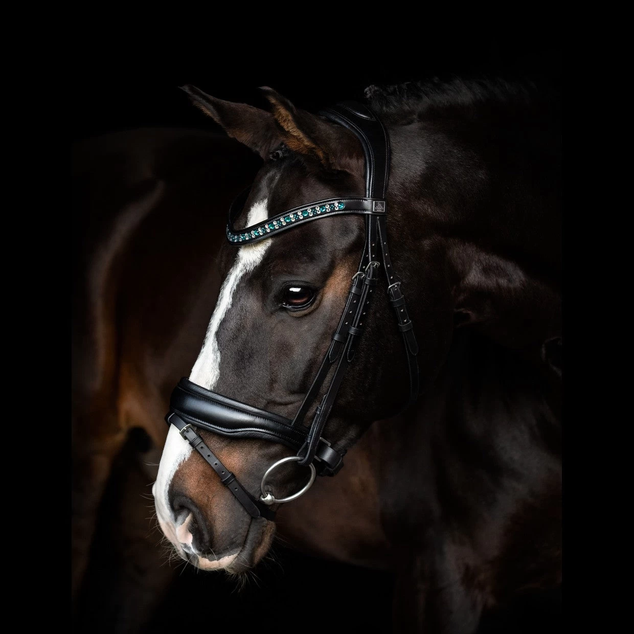 SD Design Vivaldi Browband Blue Lagoon - Image 3