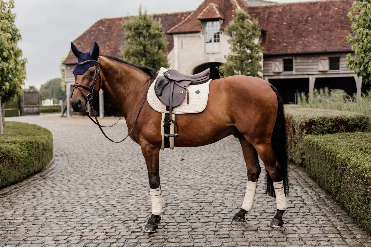 Kentucky Wool Jump Saddle Pad Beige - Image 3
