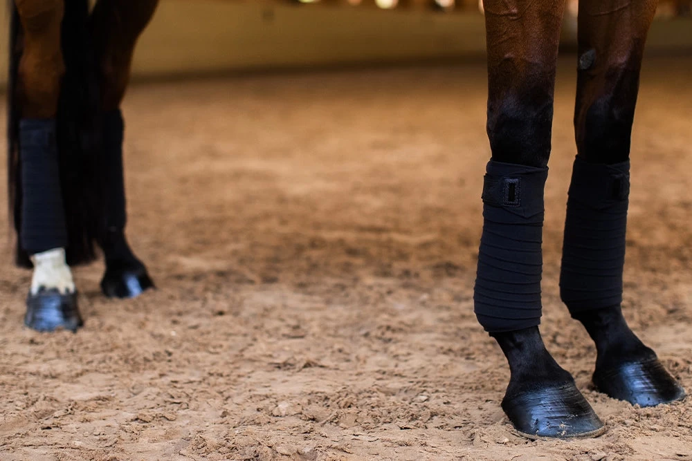 Equestrian Stockholm Bandages All Black Glimmer - Image 3