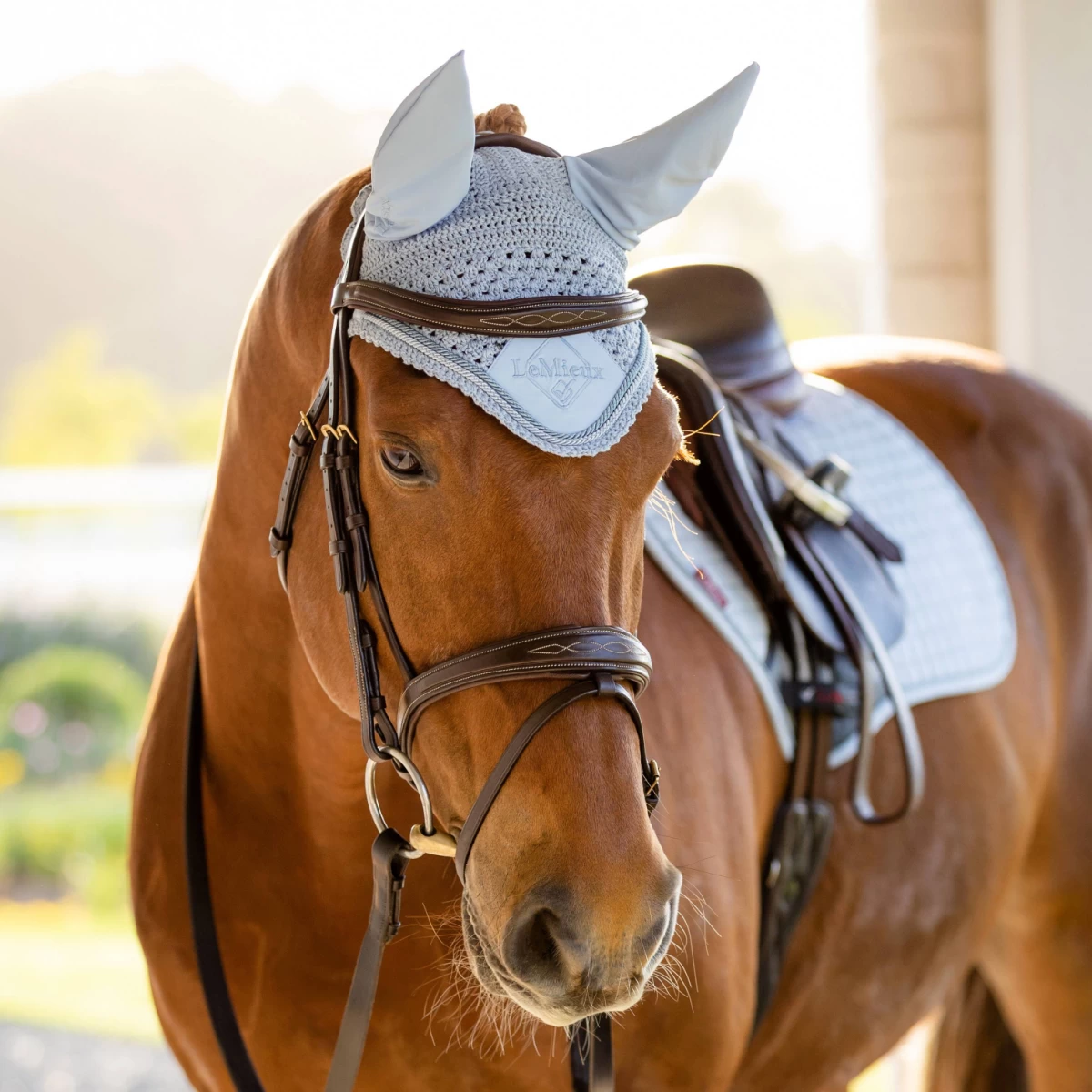 LeMieux Classic Ear Bonnet Mist - Image 2