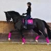 Equestrian Stockholm Dressage Saddle Pad Faded Fuchsia