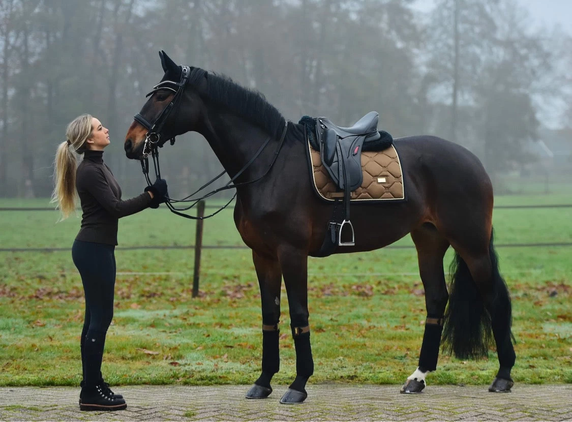 Equestrian Stockholm Dressage Saddle Pad Golden Brass - Image 5