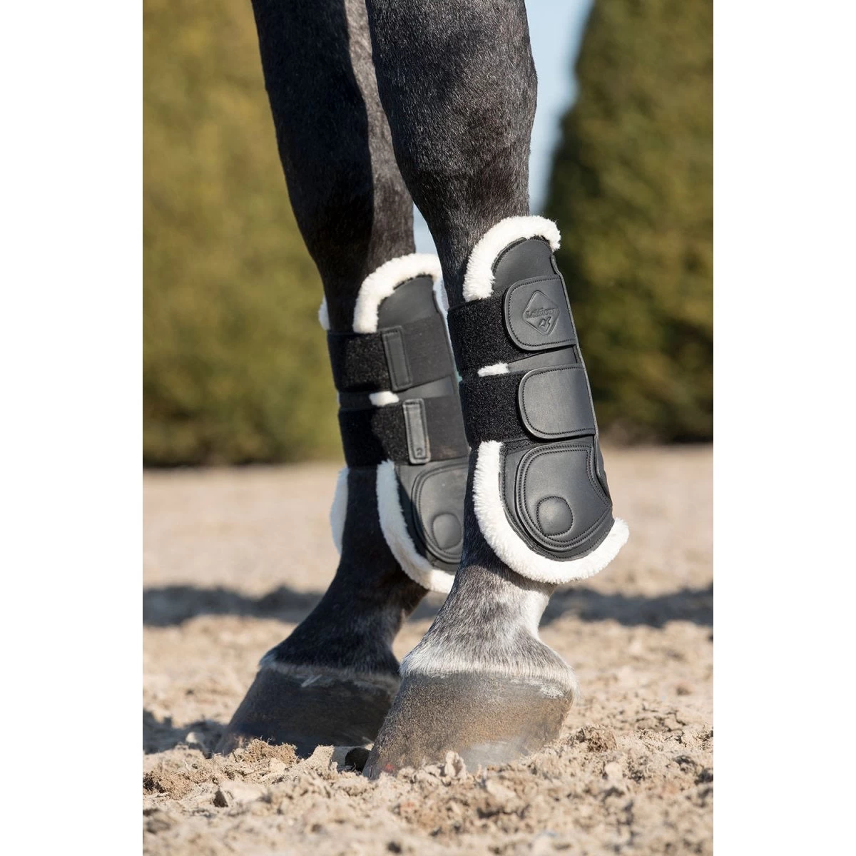 LeMieux Capella Comfort Tendon Boots Black - Image 2