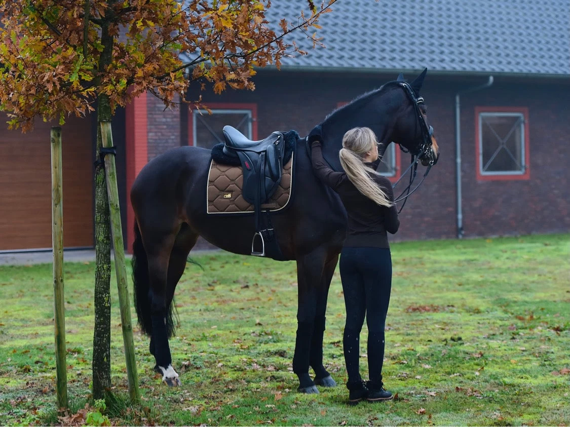 Equestrian Stockholm Dressage Saddle Pad Golden Brass - Image 9