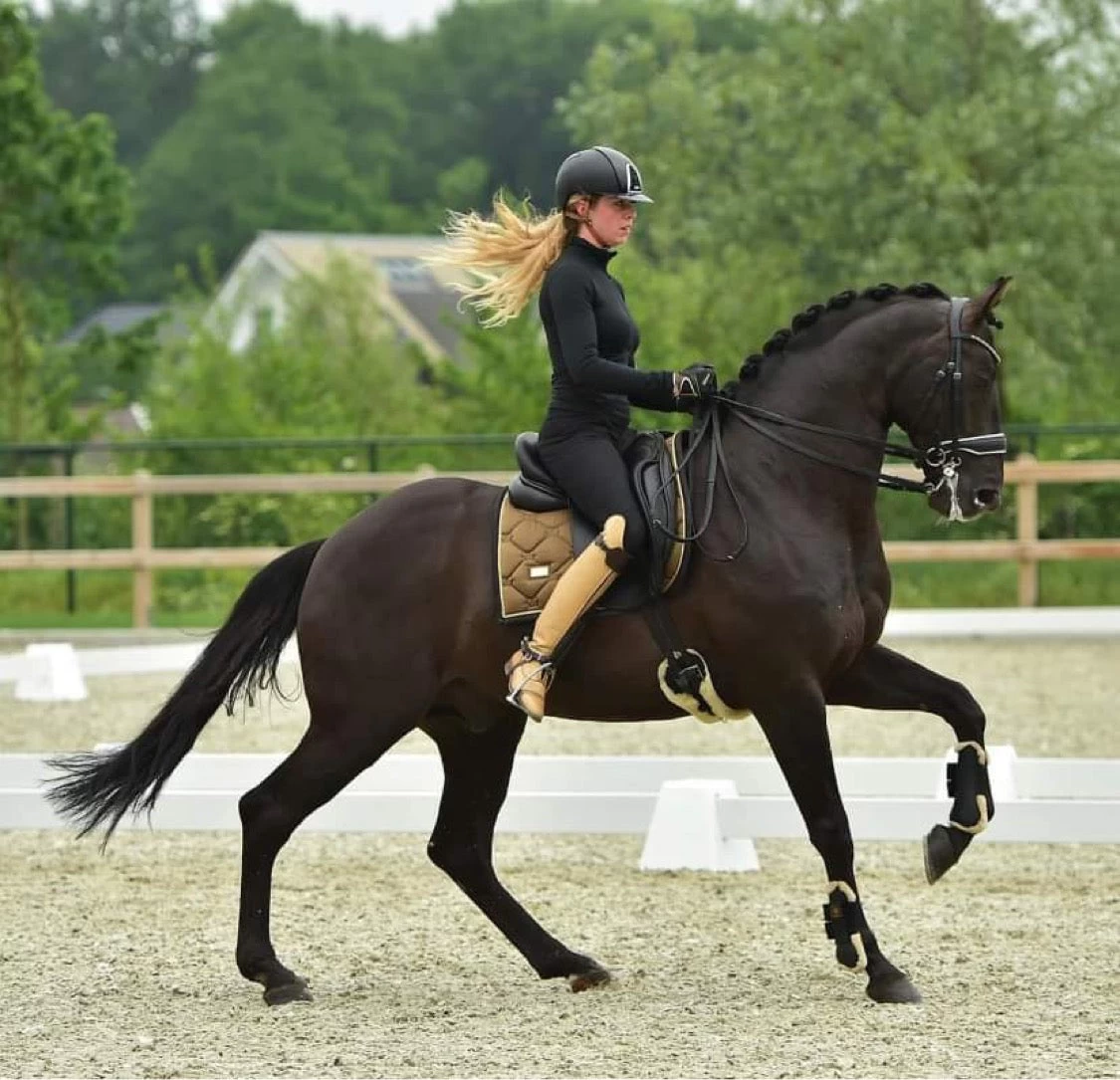 Equestrian Stockholm Dressage Saddle Pad Golden Brass - Image 3