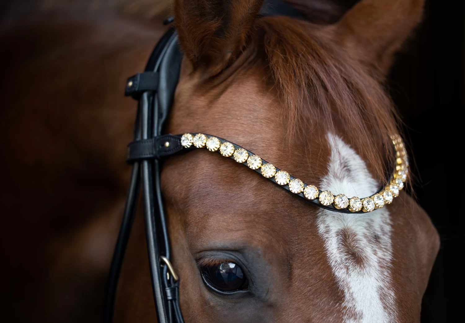 Utzon Equestrian Emperor Browband Clear - Image 2